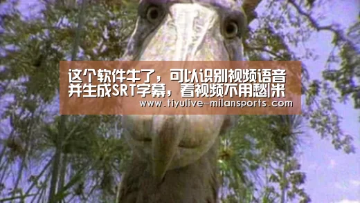 这个软件牛了,可以识别视频语音并生成SRT字幕,看视频不用愁|米兰首页(图2) 米兰首页