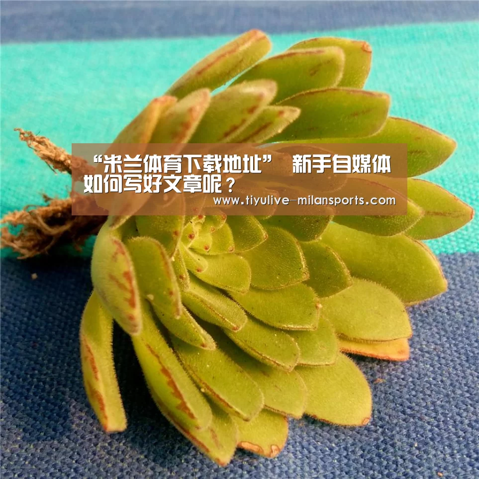 米兰俱乐部