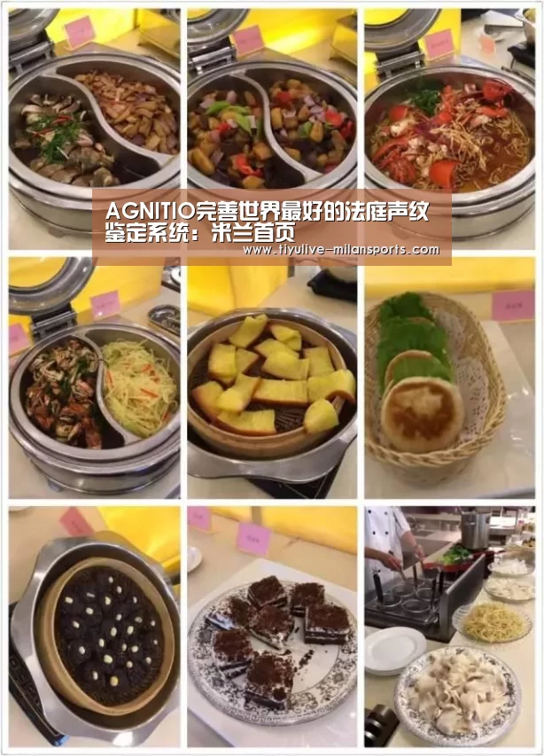 AGNITIO完善世界最好的法庭声纹鉴定系统:米兰首页(图2) 米兰俱乐部