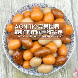 AGNITIO完善世界最好的法庭声纹鉴定系统:米兰首页(图3) 米兰俱乐部