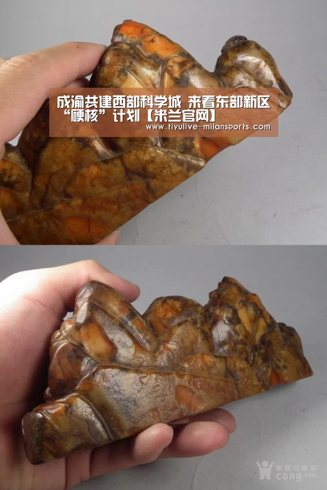 成渝共建西部科学城 来看东部新区“硬核”计划【米兰官网】(图1) 米兰体育下载地址